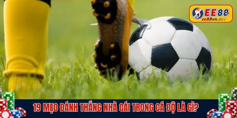 19 mẹo đánh thắng nhà cái trong cá độ